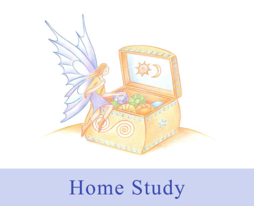 Telling Intuitive Stories to Children : Home study